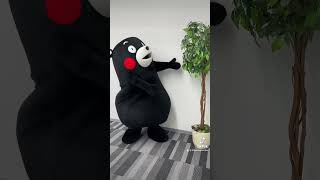 木っていうより…🪴？ #くまモン #観葉植物 #気になる #木になる #kumamon #kumamoto #熊本 #shorts