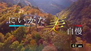 【第30話】紅葉の苗場　4K