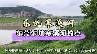 东莞东坑野钓位置推荐，巨物横行，是钓鲤鱼和麦鲮的好地方