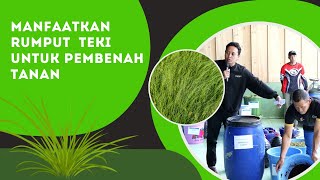 MANFAATKAN RUMPUT  TEKI UNTUK PEMBENAH TANAN