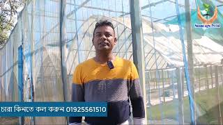 Discussion on poly shade net house.পলি শেড নেট হাউজ।