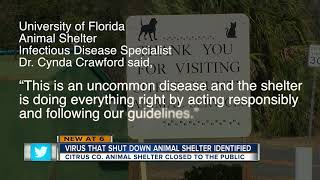 Citrus Co. animal shelter closed after virus