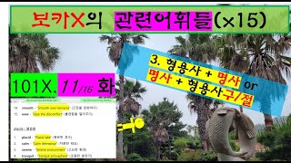 RelW 101X.11 ::3. (형용사 + 명사) or (명사 + 형용사구/절)    N/C