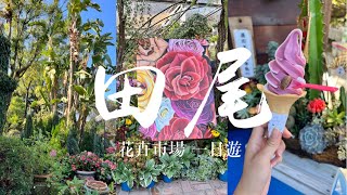 🇹🇼 Walking in Tianwei｜來去田尾公路花園買花看花