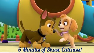 PAW Patrol: 6 Minutes of Skase Cuteness