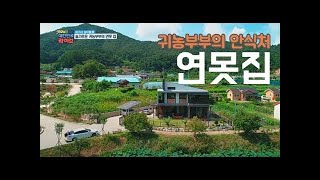 [여기서 살아볼 家] 슬기로운 귀농 부부의 연못 집 [굿모닝 대한민국 라이브] 20200827 KBS 20200909 방송