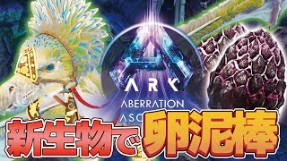 【ARK実況】新生物イーリンでロクドレの卵泥棒！【ARK SurvivalAscended Aberration】【ASAアベレーション実況動画】