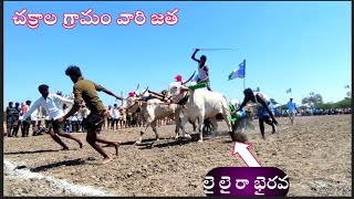 Pattikond 4va jatha //Rathna Racing Bulls 2022 //చక్రాల గ్రామం వారి జత