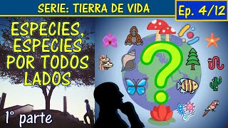 🐞¿Cuántas especies de seres vivos existen en la Tierra? 🌏 Tierra de Vida Ep 4 Parte 1