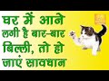 घर में आने लगी है बार बार बिल्ली तो हो जाएं सावधान cat billi ke subh or asubh sanket