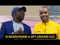 Chamisa VS Ngarivhume, Is he a ZANU-PF agent? | Mnangagwa | Susan | Mliswa