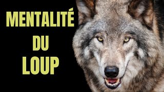 LA MENTALITÉ  INSPIRANTE DU LOUP | L'ATTITUDE DU LOUP SOLITAIRE | MINDSET | video de motivation