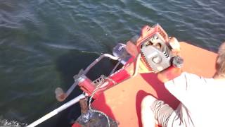 Weedeater boat motor