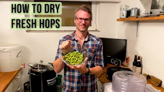 How to dry fresh hops