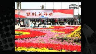 Beijing blossoms for Oct 1