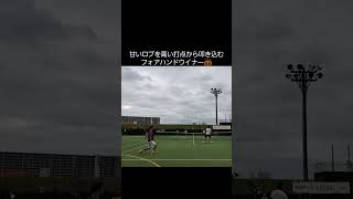 【テニス/tennis】ナイスショット集919/フォアハンド/藤枝尚貴選手/#shorts  #tennis