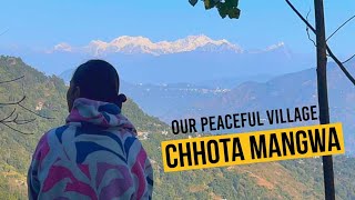 Peaceful Village Walk🕊️ at Chhota Mangwa | Exploring Homestays and Majestic Views of Kanchenjunga 🏔️