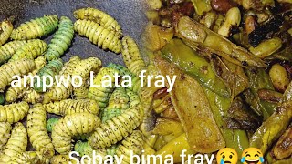 ampwo lata fray sobay bima fray ✨😋😆 ja testy ka