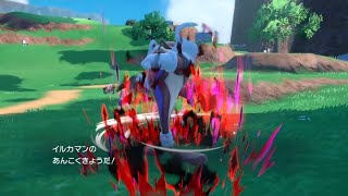 イルカマンのあんこくきょうだ【ポケモンSV】