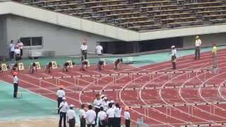 20140713_平成26年兵庫陸上選手権_男子110mH準決勝2組