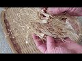 室内での【自家製干し野菜】（えのき・しめじ・菊芋）　作り方【homemade dried vegetables indoors】