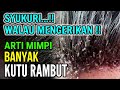 SYUKURI WALAU SANGAT MENGERIKAN !! 7 ARTI MIMPI BANYAK KUTU RAMBUT DI KEPALA, BANYAK PERTANDA BAIK