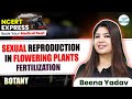 Easily Understand Fertilization in Flowering Plants | NEET Biology | 📚 NCERT Line By Line