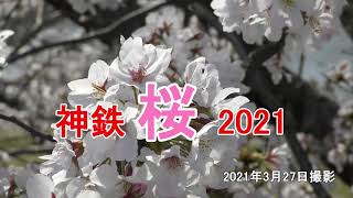 神鉄 桜 2021