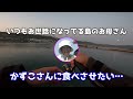 イオンの前で超美味いデカ過ぎる○○○が大量発生中 【壱岐島生活】 ３