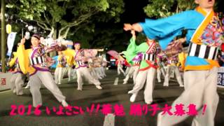 【いよさこい!!華魅】　２０１６メンバー募集！！