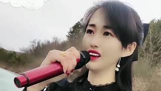 一首情歌《我在梦里等你》歌声婉转动听，感人至深