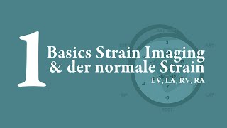 Das Strain Buch: Basics Strain Imaging \u0026 Normalwerte (Kapitel 1)