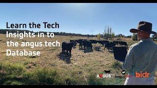 Learn the Tech — Insights into the angus.tech Database