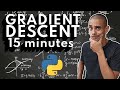 Building the Gradient Descent Algorithm in 15 Minutes | Coding Challenge