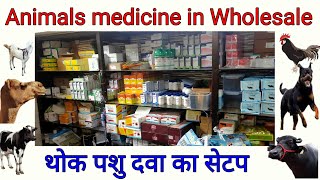 थोक पशु दवा का सेटप | Animal medicine in wholesale | veterinary medicine