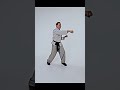 SIFU ANDREW CHUNG Demonstrates Lung Ying Kuen Kung Fu Technique (Time-lapse)