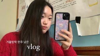 vlog | 겨울방학 한주 남은 뉴욕 고등학생 브이로그