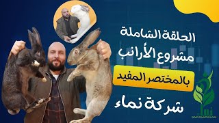 مشروع الأرانب بالمختصر المفيد