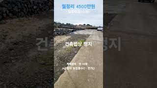 월정리 98평 4500만원 #월정리해변 #건축법상 맹지 #싸고좋은땅은없다