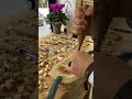 Kase #asmr #art #asmrsounds #keşfet #satisfying #satisfyingasmr #carving #woodwork #woodworking