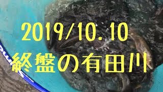 友釣り終盤の有田川2019/10.10