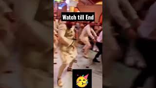 Alanna Panday's groom dance 👫 #viral #dance #ananyapandey #shortsstuff #shorts #wedding #trending