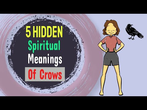 Why do crows follow me?