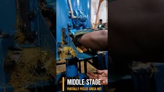 Areca nut Peeling Machine