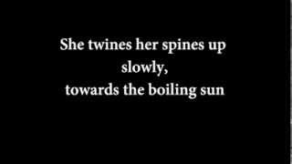 The Handsome Family - Far From Any Road (Lyrics)