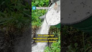 Это средство мгновенно улучшит состояние почвы