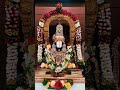 Tirumalavasa Srivenkatesa. #shorts #viral #ytshorts #god #balaji #tirupati #tirumala #venkatesa