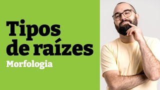 Morfologia e tipos de raízes - Aula 15 - Módulo V: Botânica | Prof. Gui