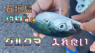 石垣島　釣り　グルクマ　入れ食い　堤防釣り　サビキ釣り　浜崎マリーナ　クロハギ　オヤビッチャ　子供　しょうた釣りチャンネル