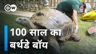 100 साल के कछुआ से सीखिए कैसे लंबा जीएं [Turkey's oldest turtle turns 100]